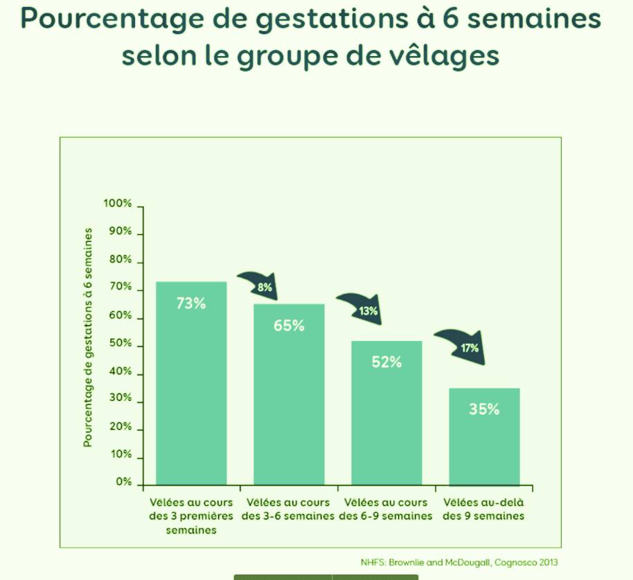 Pourcentage de gestations à 6 semaines selon le groupe de vêlage