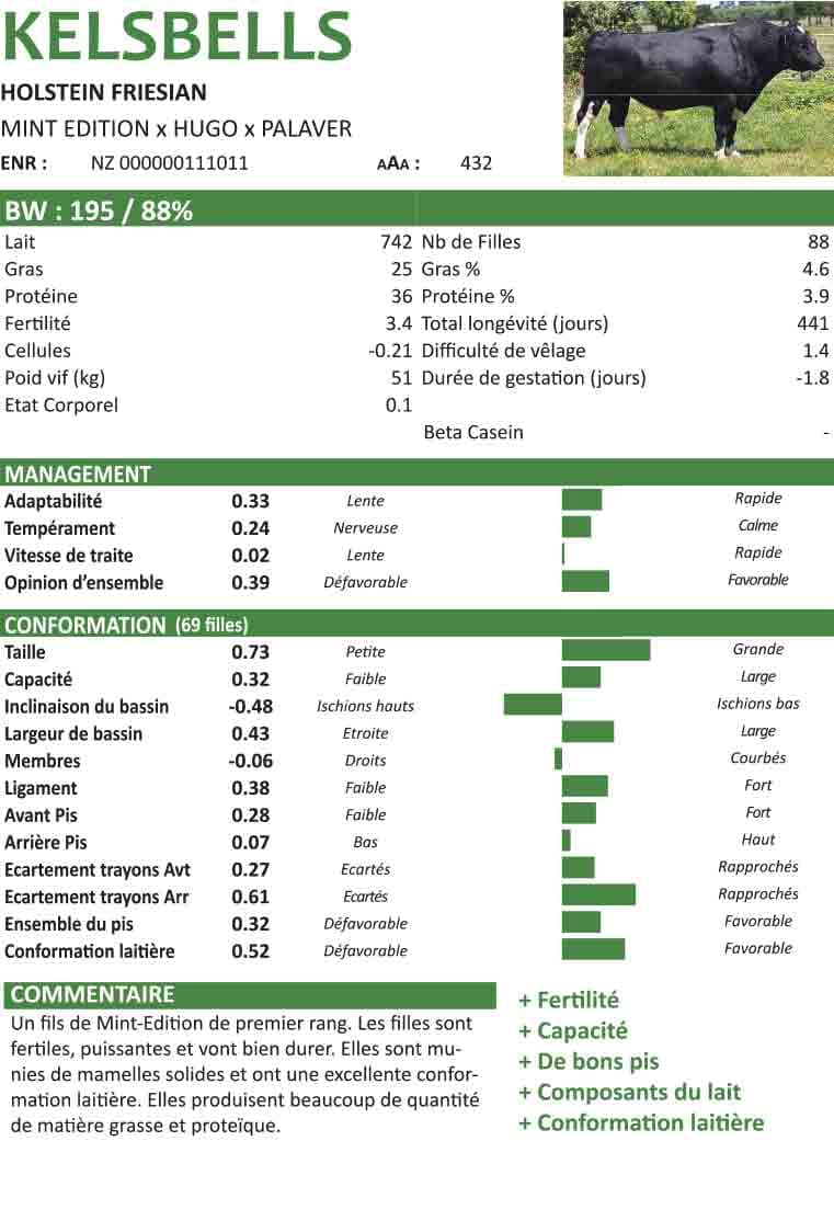 Troupeau de Nouvelle-Zélande