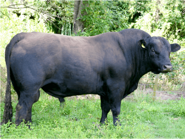 Image de Rissington 180073